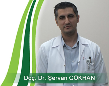 doktor-servan-gokhan-rapor-doktor-docent