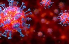 koronavirus-nedir