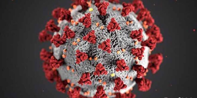 koronavirus-cinsel-yolla-bulasirmi