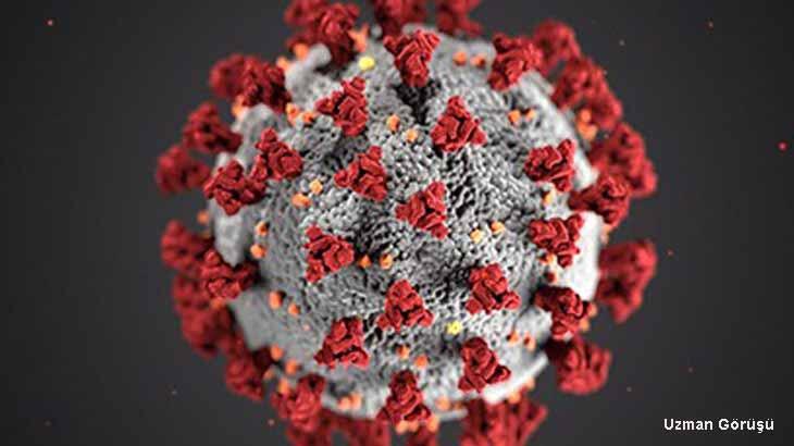 koronavirus-cinsel-yolla-bulasirmi