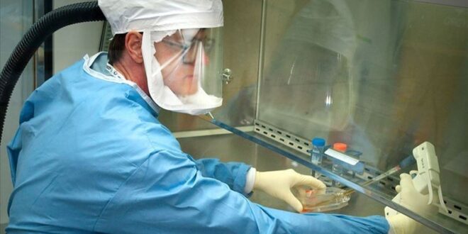 koronavirus-rusya-testlere-basladi