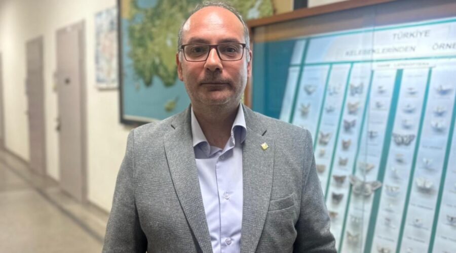 Bahar Geliyor, Çam Kese Tırtılları Geliyor: Uzman Uyardı, Evcil Hayvanlar da Risk Altında