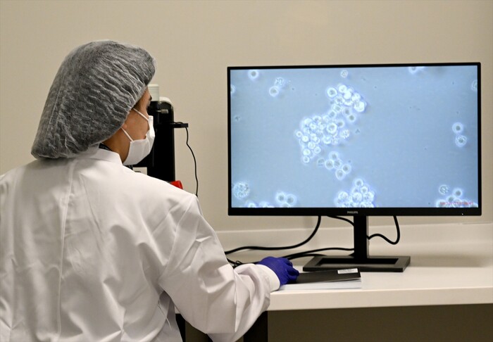 Türkiye’de CAR-T Çağı: Etlik Şehir Hastanesi’nde Kan Kanseri Hastalarına “Akıllı Hücre” Tedavisi Uygulandı